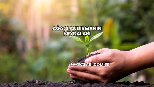 Ağaçlandırmanın Faydaları