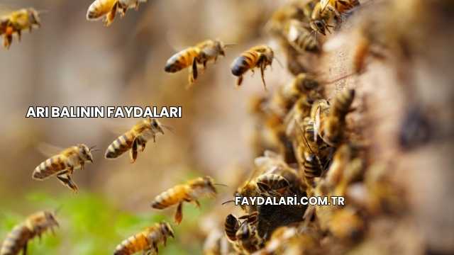 Arı Balının Faydaları