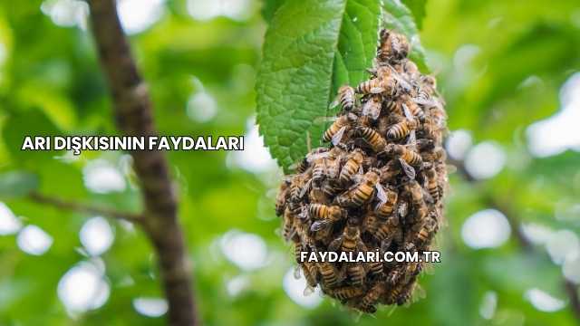 Arı Dışkısının Faydaları