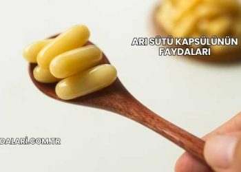 Arı Sütü Kapsülünün Faydaları
