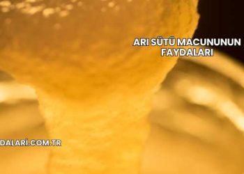 Arı Sütü Macununun Faydaları