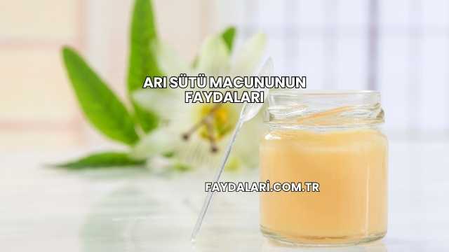 Arı Sütü Macununun Faydaları