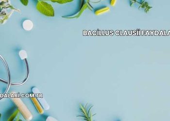 Bacillus Clausii Faydaları