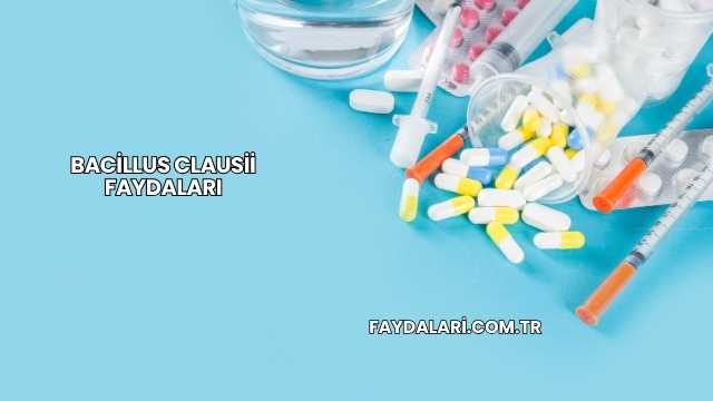 Bacillus Clausii Faydaları