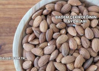 Badem Çekirdeğinin Faydaları