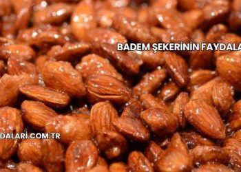Badem Şekerinin Faydaları