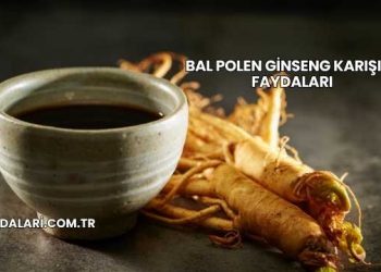 Bal Polen Ginseng Karışımı Faydaları
