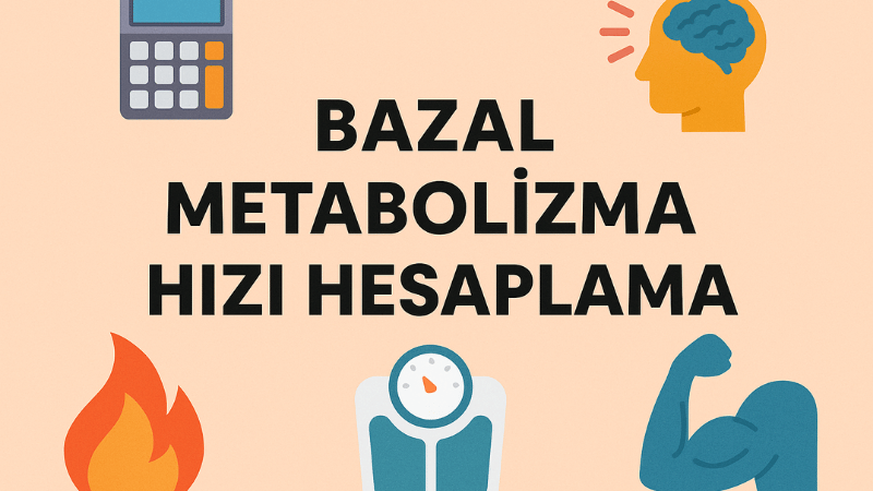 Bazal Metabolizma Hızı Hesaplama