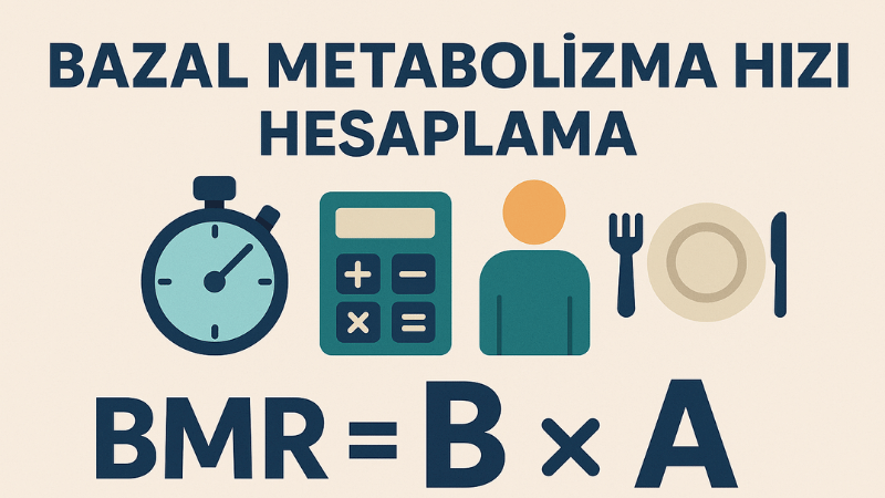 Bazal Metabolizma Hızı Hesaplama