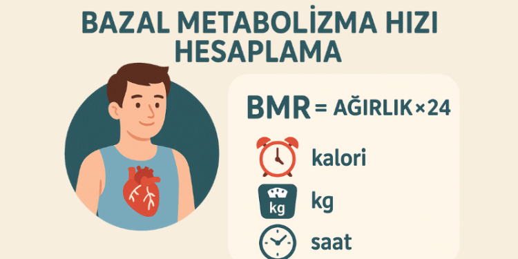 Bazal Metabolizma Hızı Hesaplama