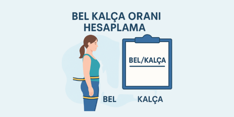 Bel Kalça Oranı Hesaplama