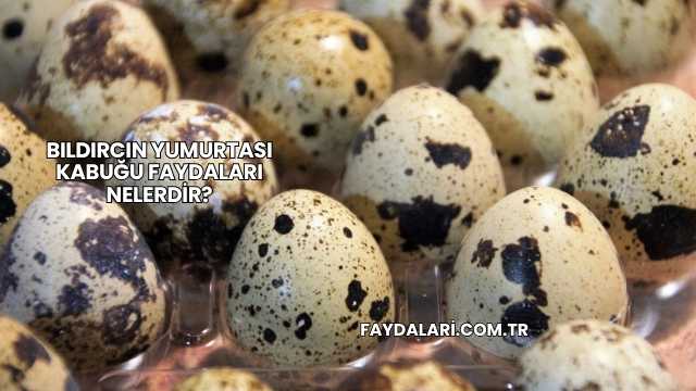 Bıldırcın Yumurtası Kabuğu Faydaları Nelerdir?