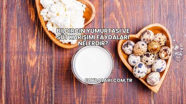 Bıldırcın Yumurtası ve Süt Karışımı Faydaları Nelerdir?