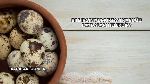 Bıldırcın Yumurtası Kabuğu Faydaları Nelerdir?