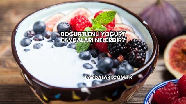 Böğürtlenli Yoğurt Faydaları Nelerdir?