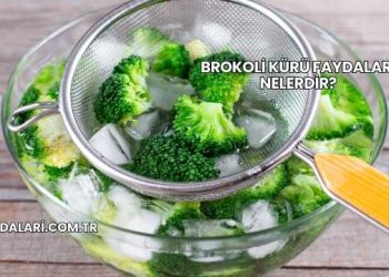 Brokoli Kürü Faydaları Nelerdir?