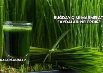 Buğday Çimi Marmelatı Faydaları Nelerdir?