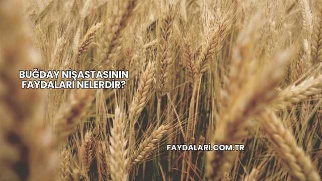 Buğday Nişastasının Faydaları Nelerdir?