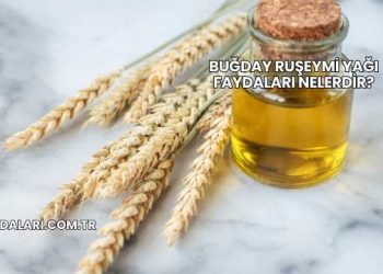 Buğday Ruşeymi Yağı Faydaları Nelerdir?