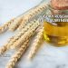 Buğday Ruşeymi Yağı Faydaları Nelerdir?