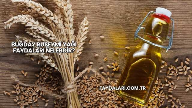Buğday Ruşeymi Yağı Faydaları Nelerdir?