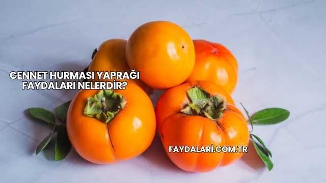 Cennet Hurması Yaprağı Faydaları Nelerdir?