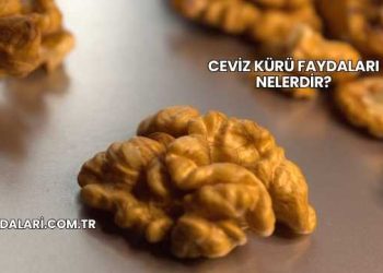 Ceviz Kürü Faydaları Nelerdir?