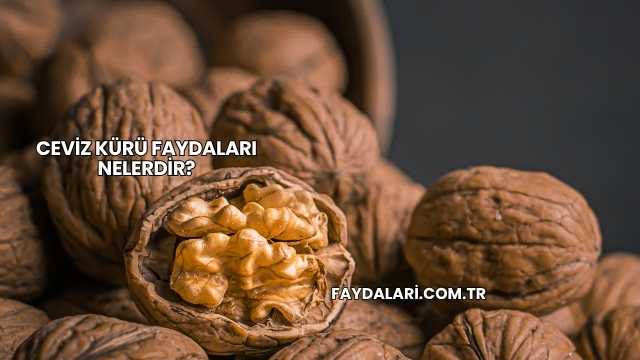 Ceviz Kürü Faydaları Nelerdir?