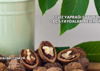 Ceviz Yaprağı Suyunun Saça Faydaları Nelerdir?