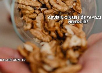 Cevizin Cinselliğe Faydaları Nelerdir?