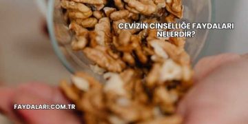 Cevizin Cinselliğe Faydaları Nelerdir?