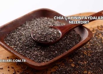 Chia Çayının Faydaları Nelerdir?
