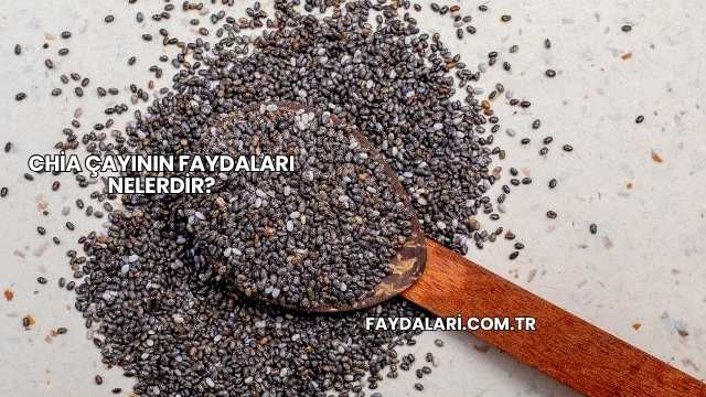 Chia Çayının Faydaları Nelerdir?