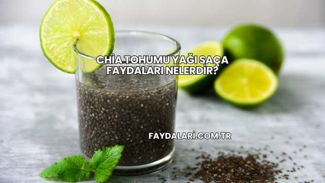 Chia Tohumu Yağı Saça Faydaları Nelerdir?