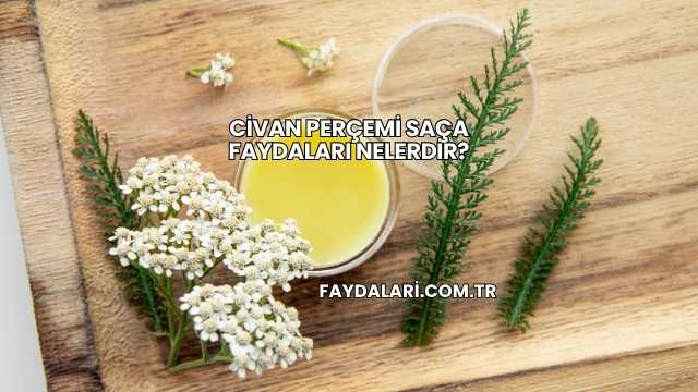 Civan Perçemi Saça Faydaları Nelerdir?