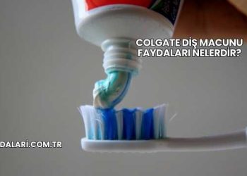 Colgate Diş Macunu Faydaları Nelerdir?