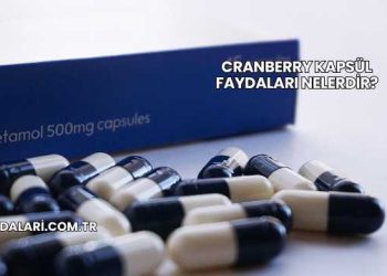 Cranberry Kapsül Faydaları Nelerdir?