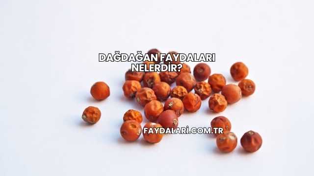 Dağdağan Faydaları Nelerdir?