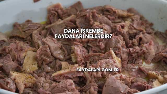 Dana İşkembe Faydaları Nelerdir?