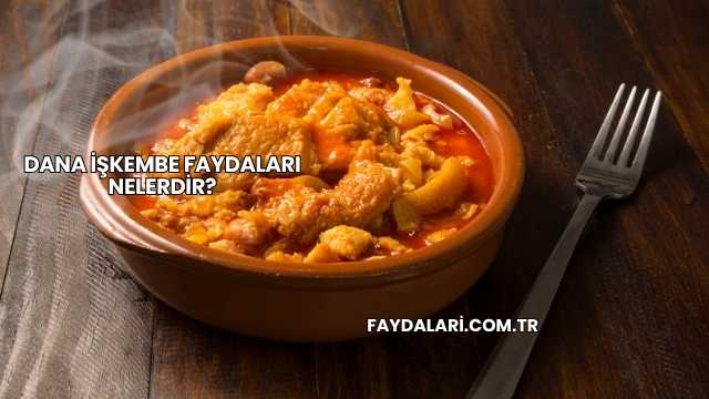 Dana İşkembe Faydaları Nelerdir?