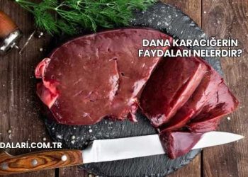 Dana Karaciğerin Faydaları Nelerdir?