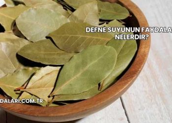 Defne Suyunun Faydaları Nelerdir?
