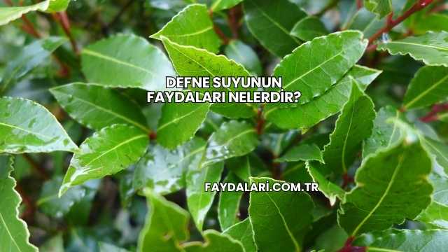 Defne Suyunun Faydaları Nelerdir?