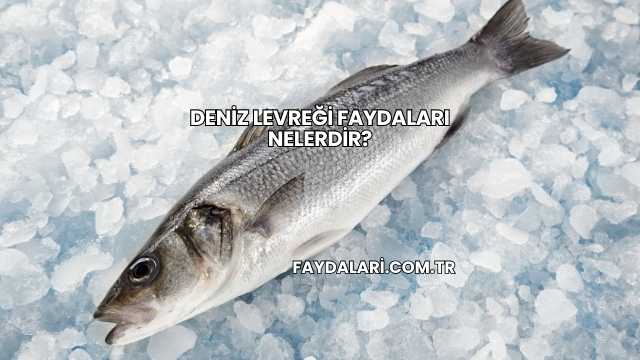 Deniz Levreği Faydaları Nelerdir?