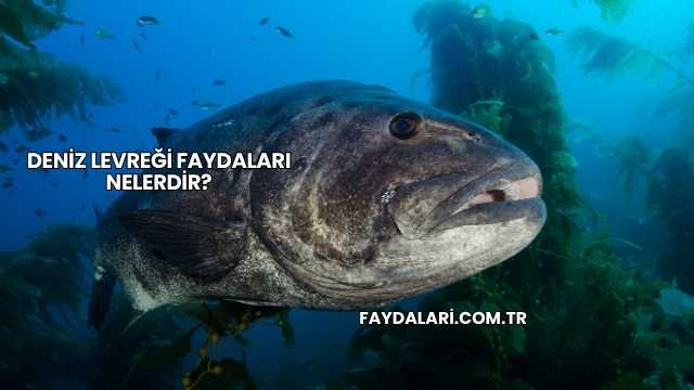 Deniz Levreği Faydaları Nelerdir?