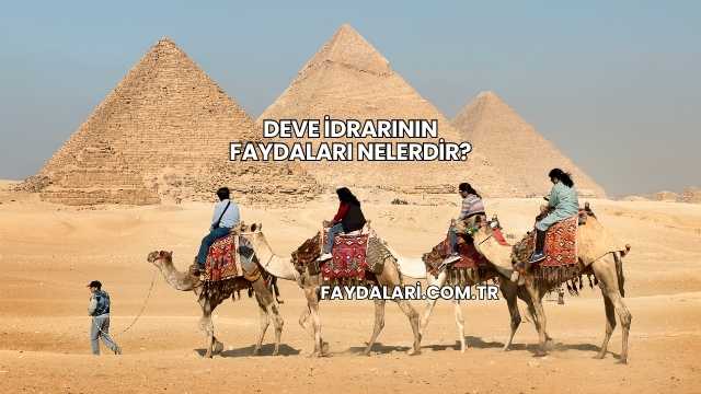 Deve İdrarının Faydaları Nelerdir?