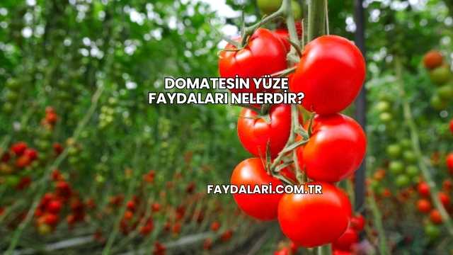 Domatesin Yüze Faydaları Nelerdir?
