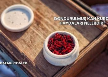Dondurulmuş Kan Kurdu Faydaları Nelerdir?