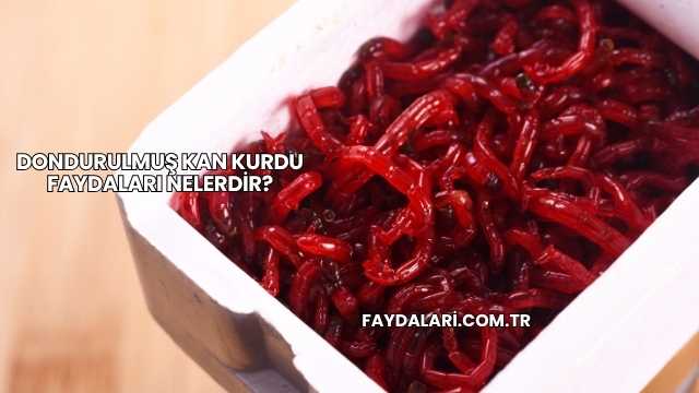 Dondurulmuş Kan Kurdu Faydaları Nelerdir?