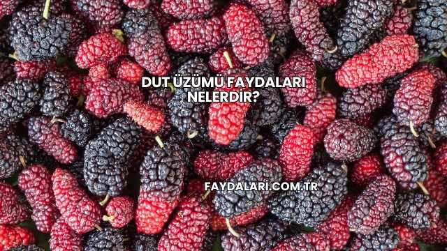 Dut Üzümü Faydaları Nelerdir?